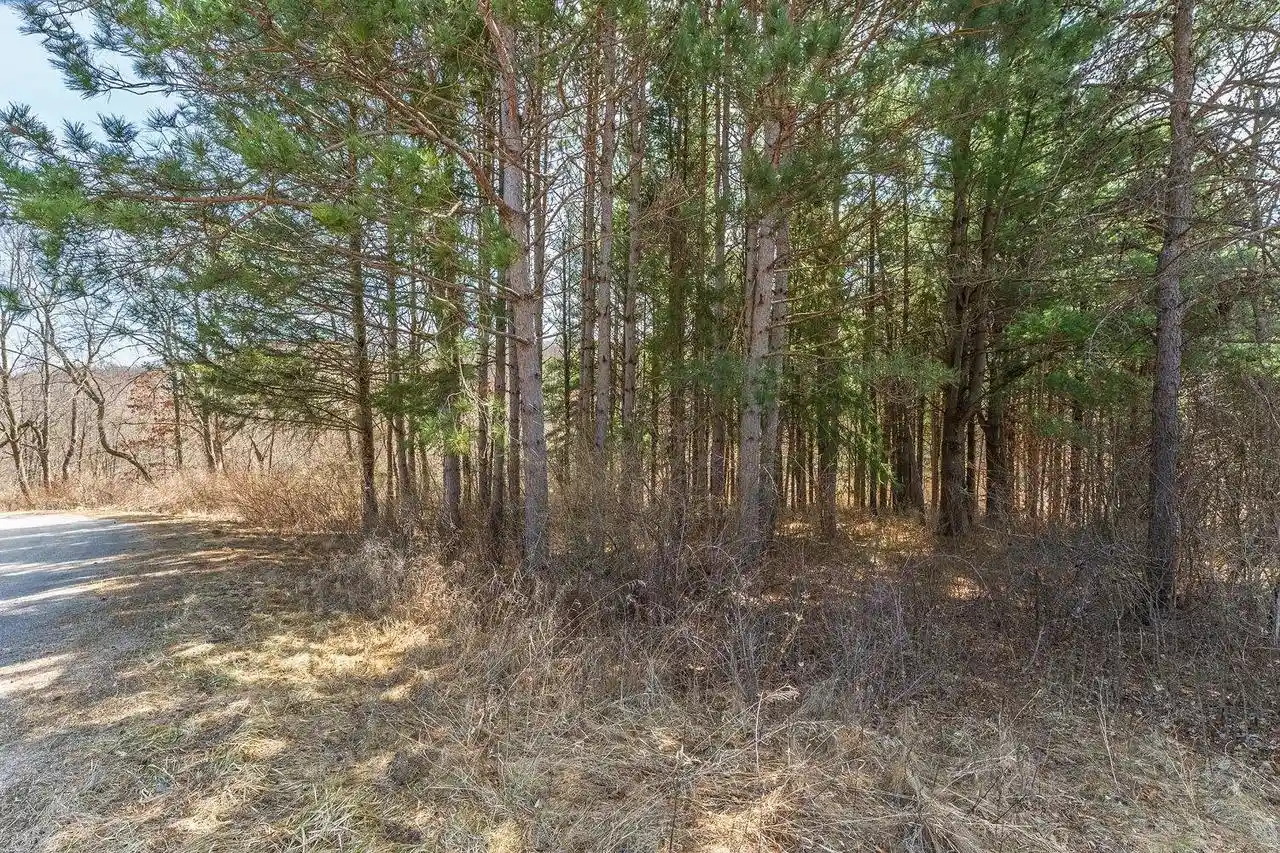 Homes for sale in La Valle, WI | Lot 63 Staghorn Court Court, La Valle, WI 53941 | MLS# 2020537