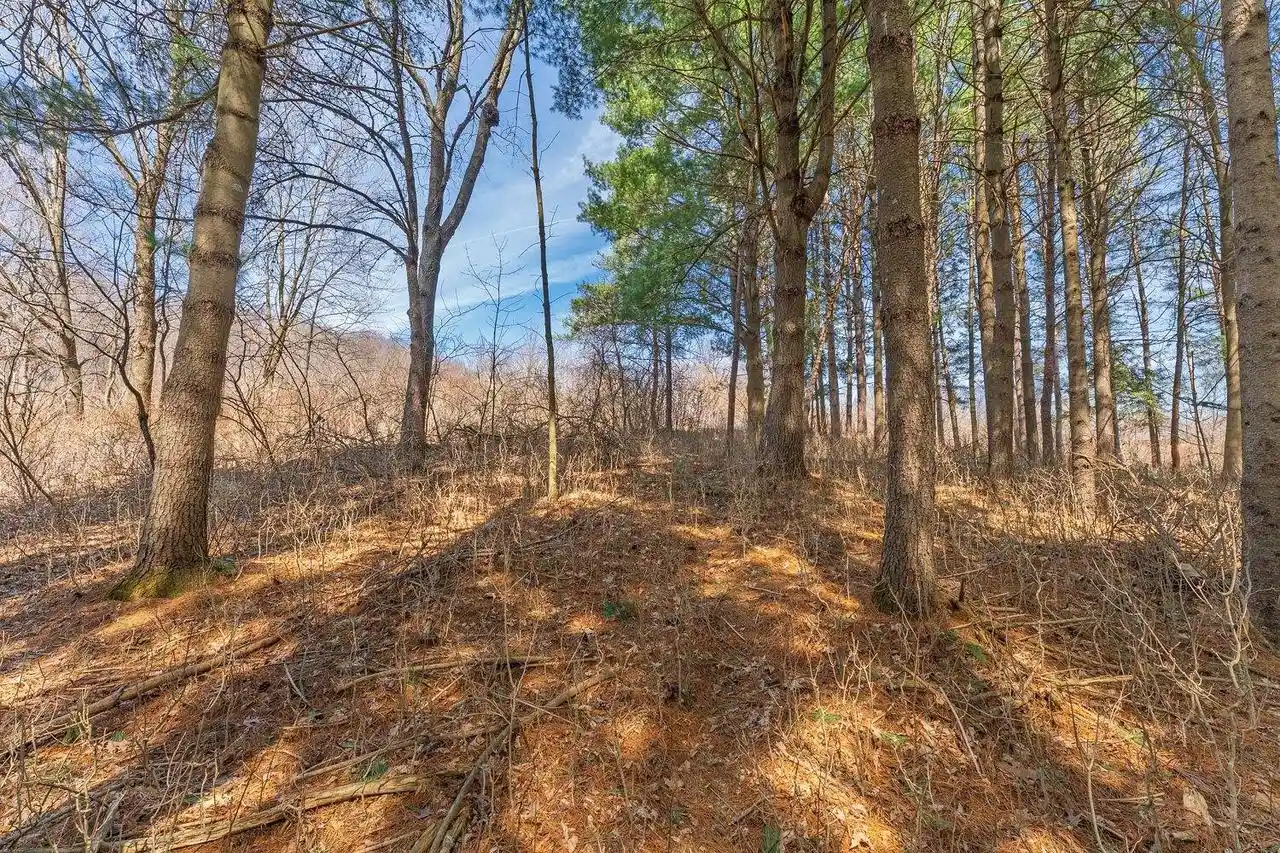 Homes for sale in La Valle, WI | Lot 63 Staghorn Court Court, La Valle, WI 53941 | MLS# 2020537