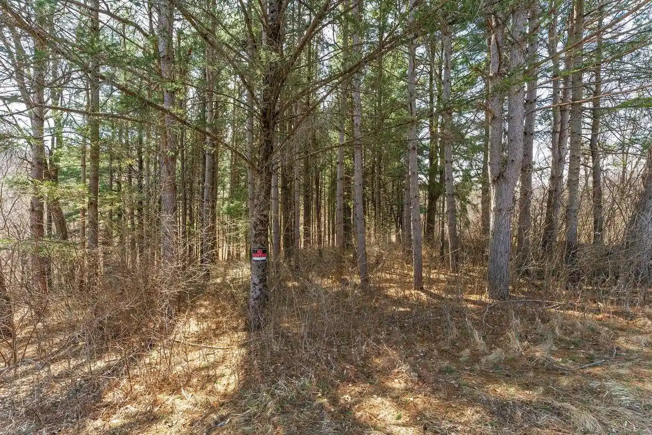 Homes for sale in La Valle, WI | Lot 63 Staghorn Court Court, La Valle, WI 53941 | MLS# 2020537