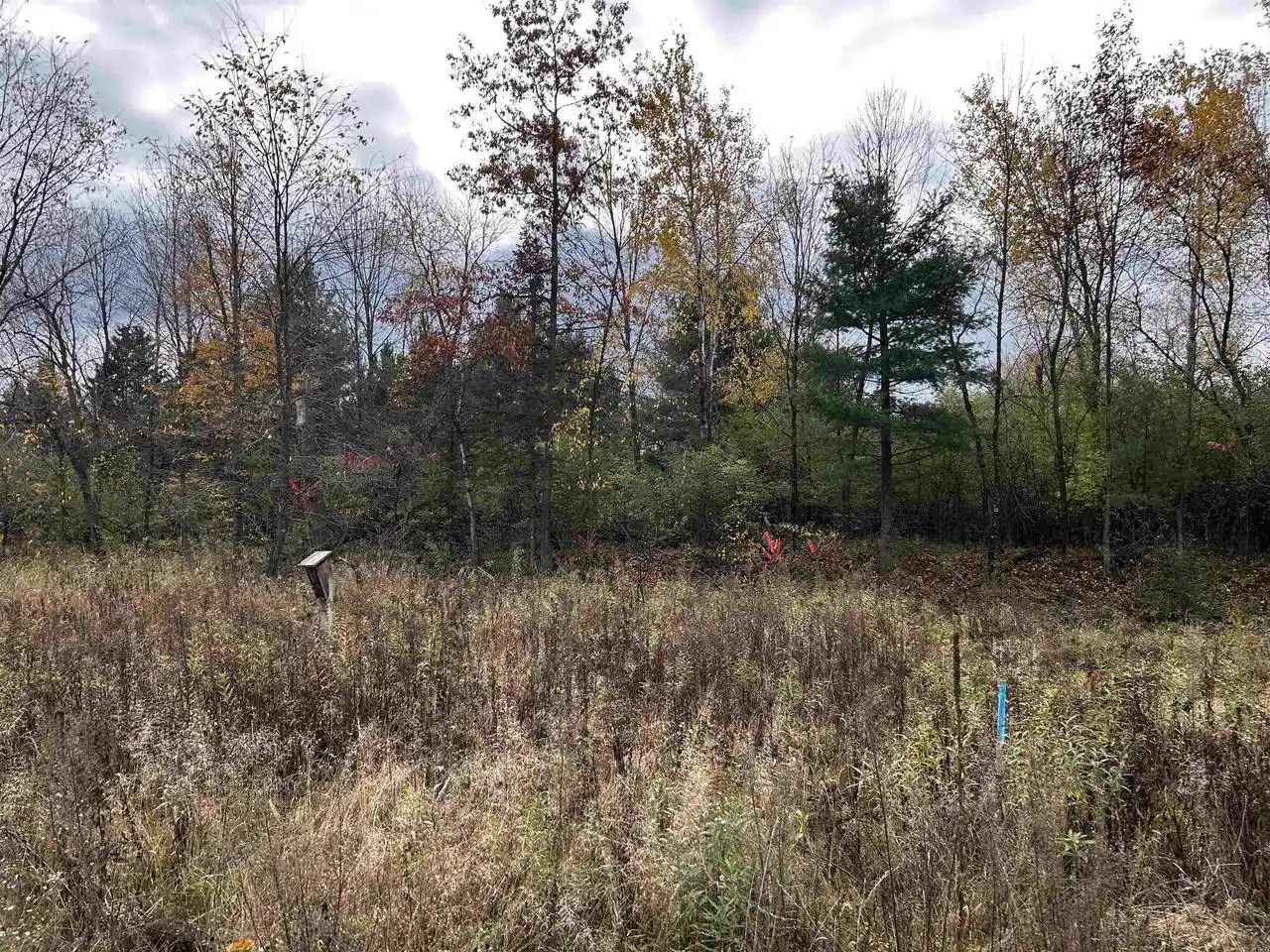 Photo 3 of Land for sale at 124 E Railroad Street Street, Bowler, WI 54416 | MLS# 50323549 | Listing updated on 2026-08-13