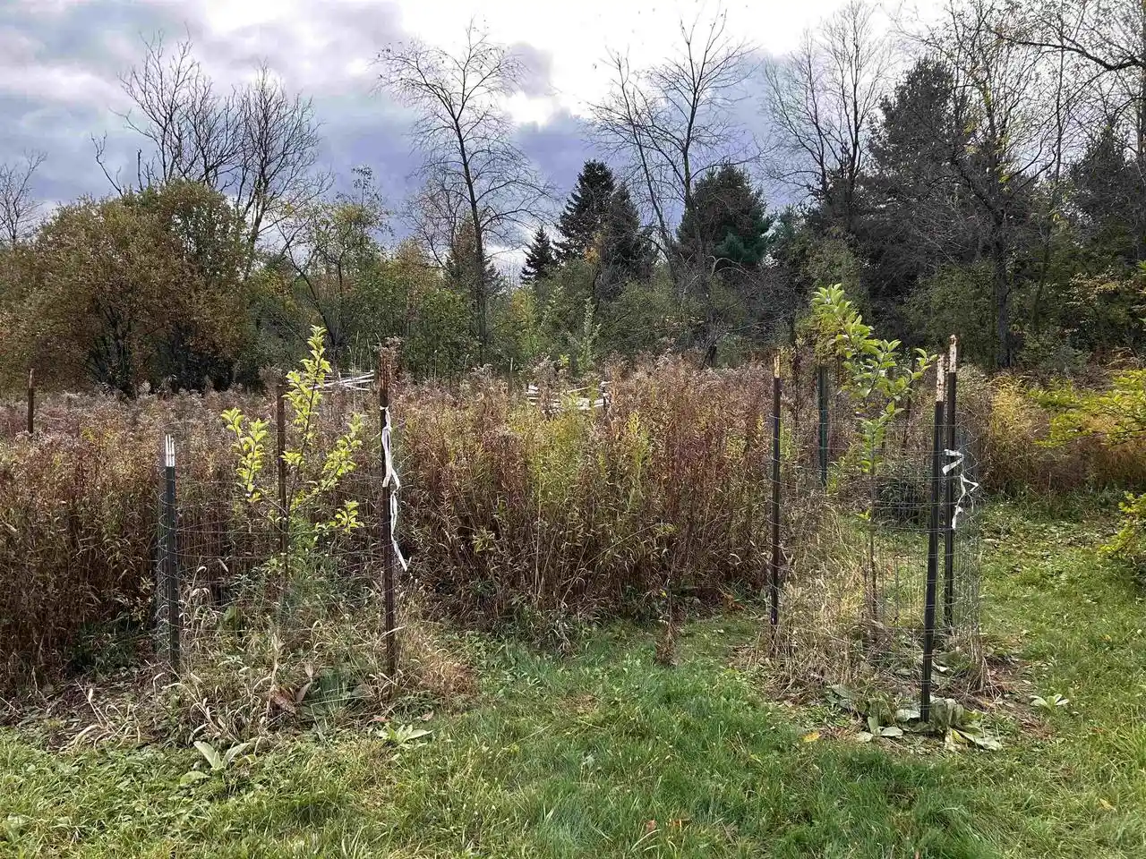 Photo 3 of Land for sale at 124 E Railroad Street Street, Bowler, WI 54416 | MLS# 50323549 | Listing updated on 2026-08-13