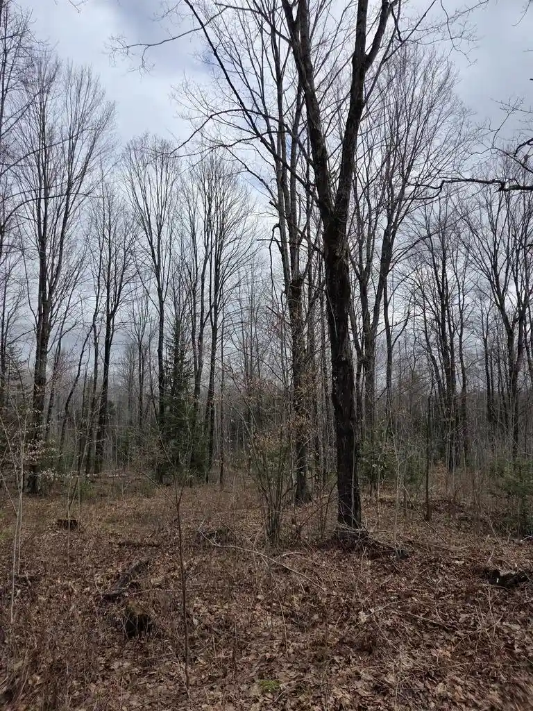 Photo 2 of Land for sale at County Road K, Amberg, WI 54102 | MLS# 50323587 | Listing updated on 2026-05-14