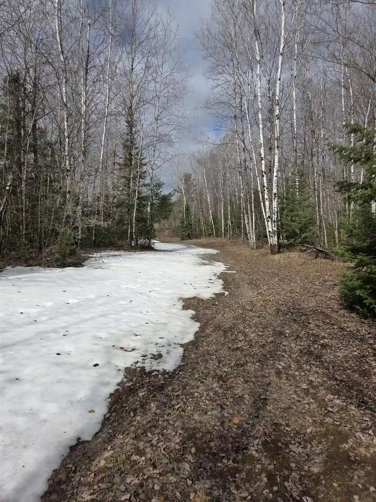 Photo 3 of Land for sale at County Road K, Amberg, WI 54102 | MLS# 50323587 | Listing updated on 2026-05-14