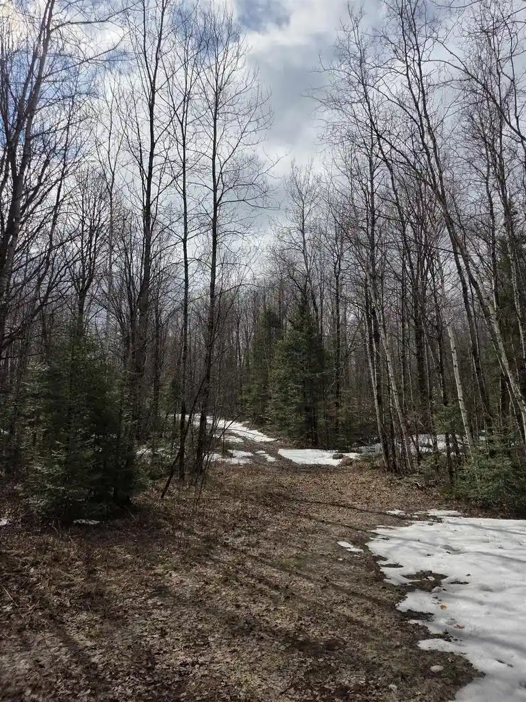Photo 3 of Land for sale at County Road K, Amberg, WI 54102 | MLS# 50323587 | Listing updated on 2026-05-14