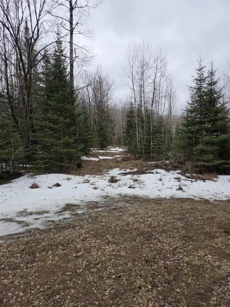 Photo 4 of Land for sale at County Road K, Amberg, WI 54102 | MLS# 50323587 | Listing updated on 2026-05-14