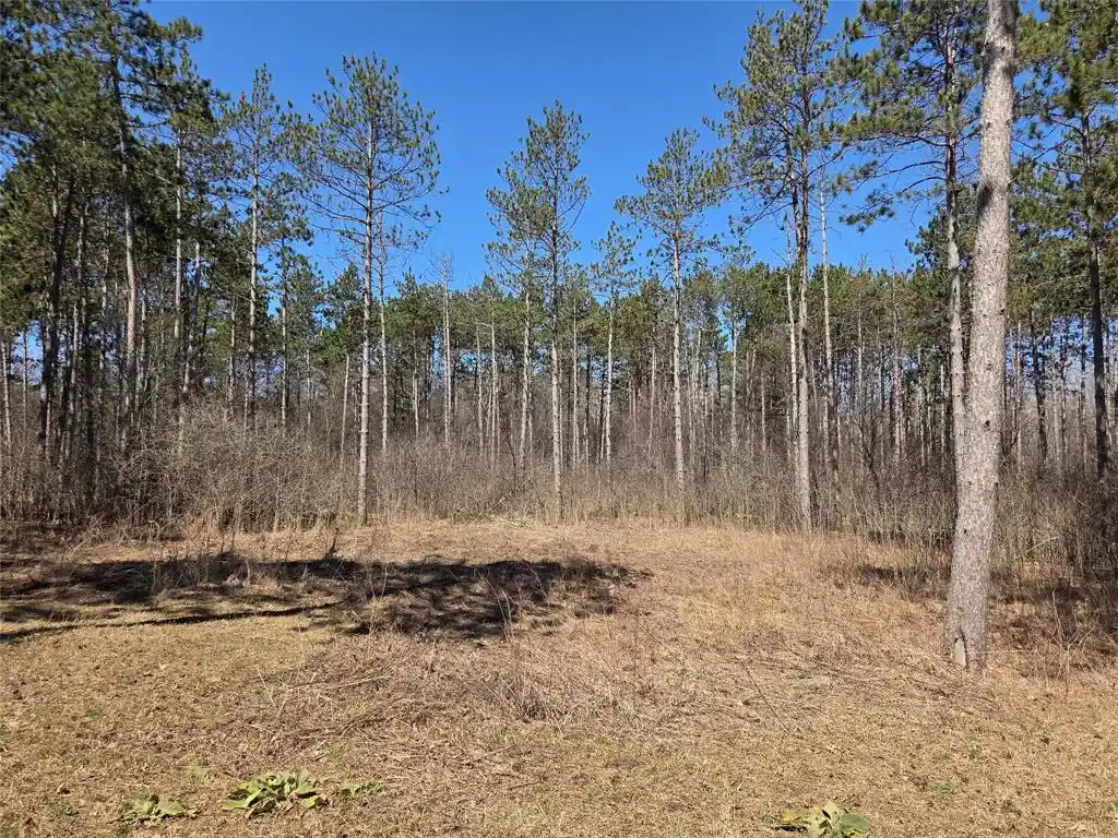 2nd image of 000 11 3/8 Avenue Avenue, Cameron, WI 54822 | MLS# 1600008