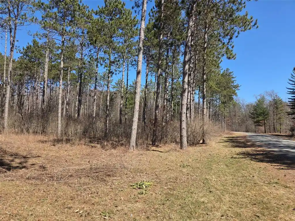3rd image of 000 11 3/8 Avenue Avenue, Cameron, WI 54822 | MLS# 1600008