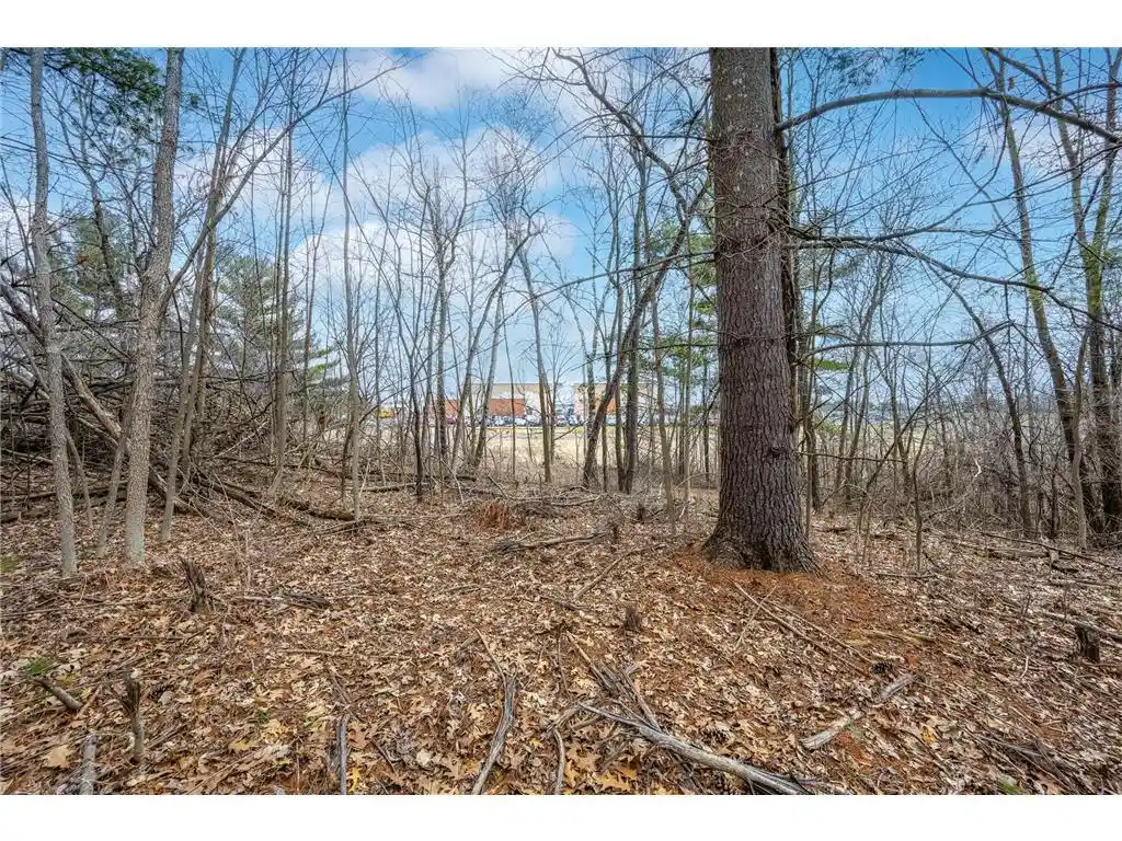 Photo 3 of Land for sale at Tbd Hwy 46, Balsam Lake, WI 54810 | MLS# 7054246 | Listing updated on 2026-05-27