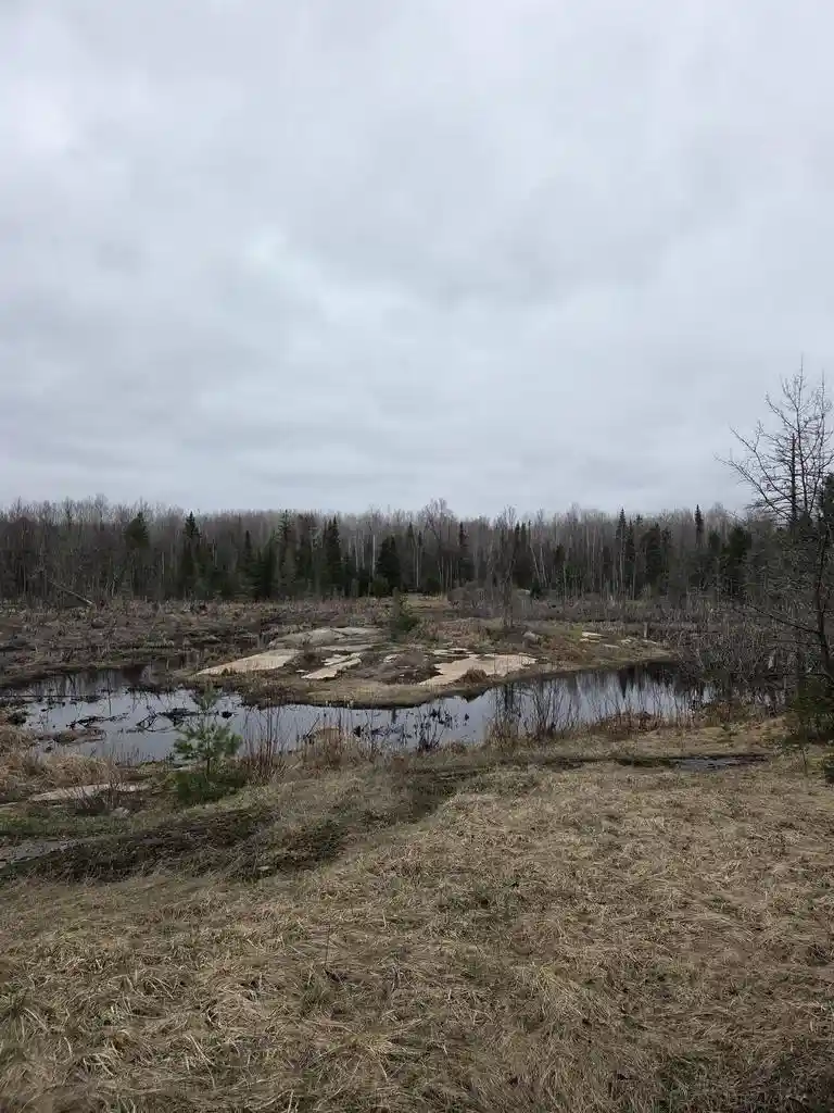 Homes for sale in Amberg, WI | W6888 County Road K, Amberg, WI 54102 | MLS# 50323581