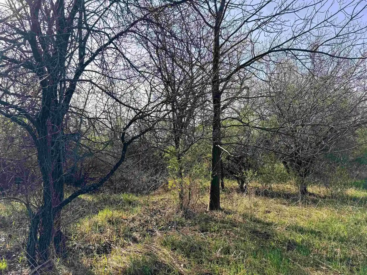 2nd image of 53 M/l Acres Palmer Road Road, Lake Geneva, WI 53147 | MLS# 2020670