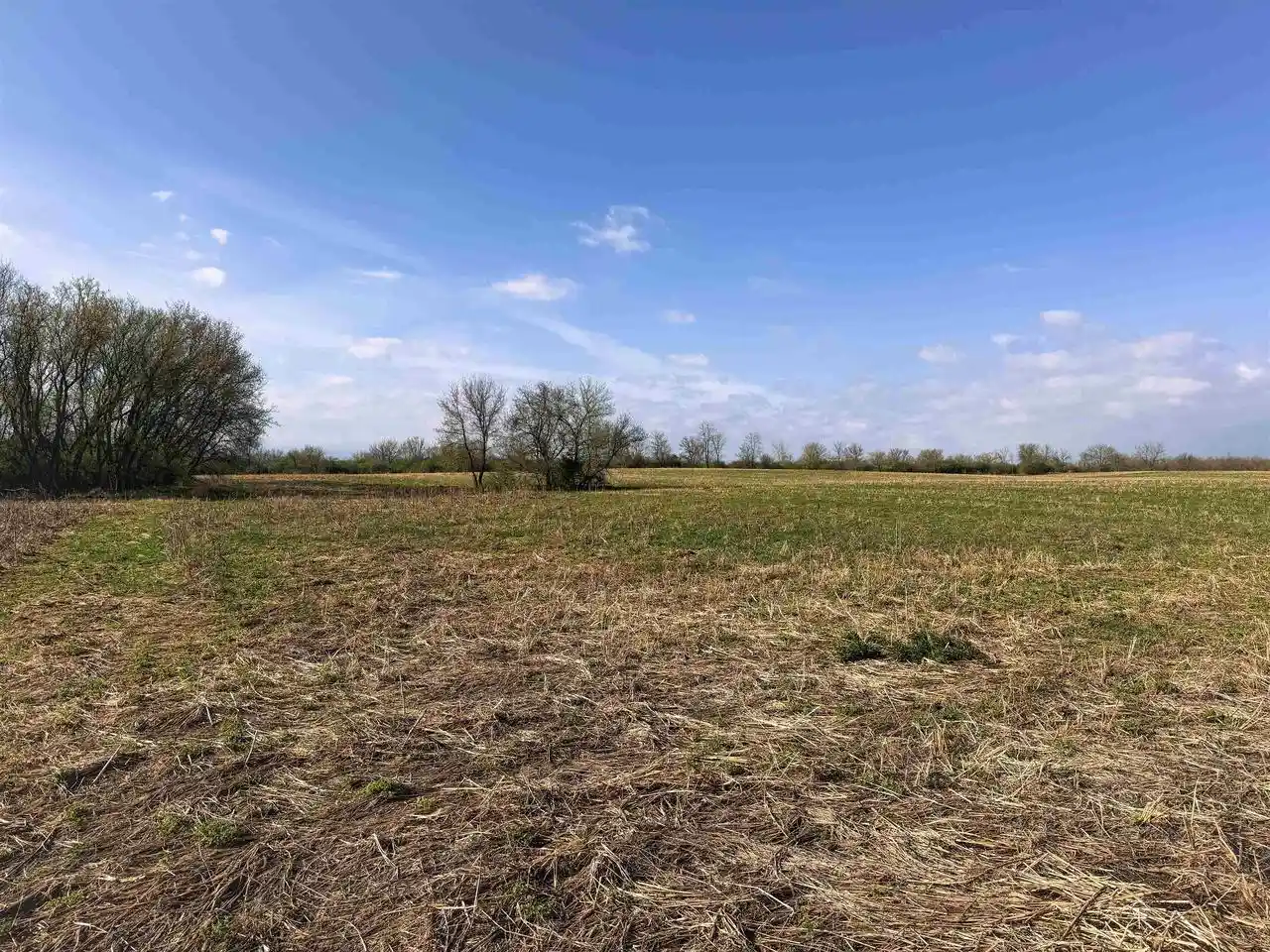 Photo 3 of Land for sale at 53 M/l Acres Palmer Road Road, Lake Geneva, WI 53147 | MLS# 2020670 | Listing updated on 2026-09-22