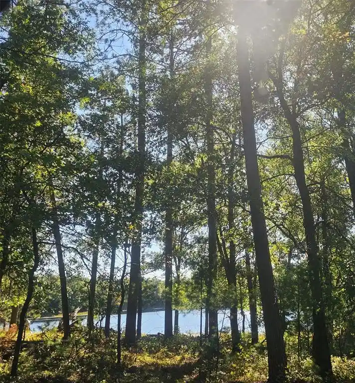 1st image of Xxx County Road H Road Road, Danbury, WI 54830 | MLS# 1600068