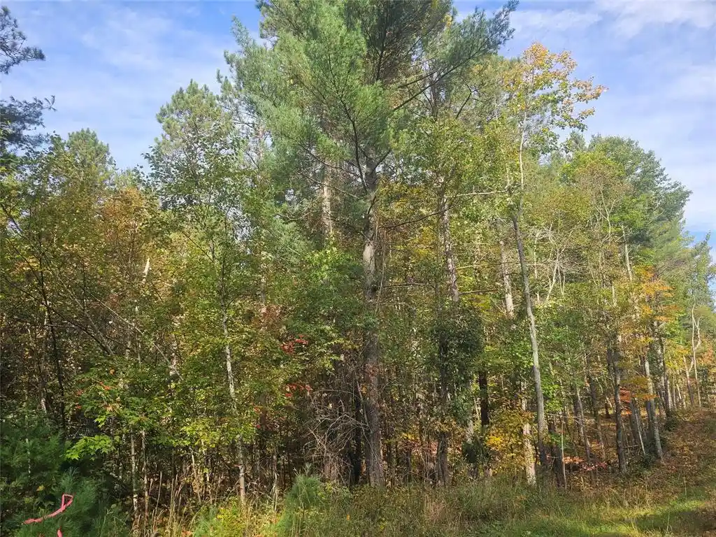 2nd image of Xxx County Road H Road Road, Danbury, WI 54830 | MLS# 1600068