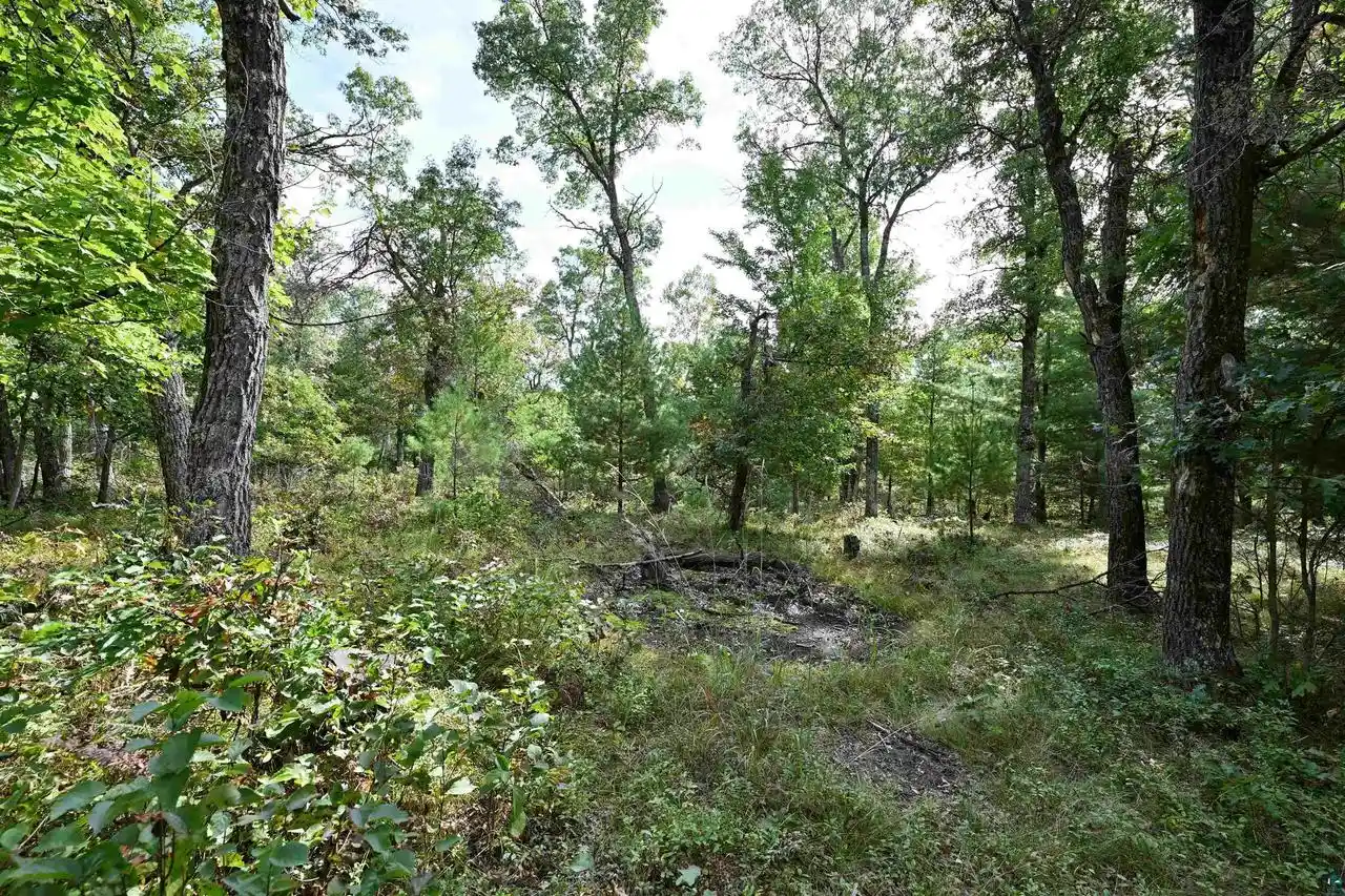 Homes for sale in Minong, WI | Lot 3 Dragon Dr Dr, Minong, WI 54859 | MLS# 6124506