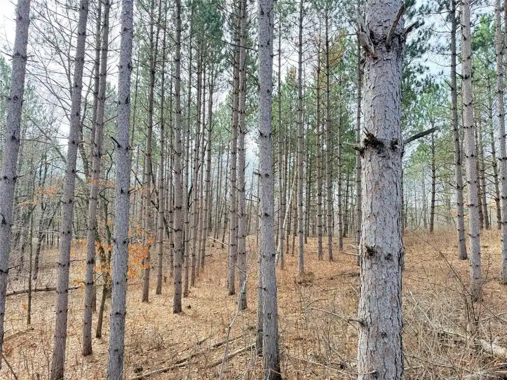 Photo 2 of Land for sale at Lot 3 Big Lake Dr Dr, Osceola, WI 54020 | MLS# 1599897 | Listing updated on 2026-09-22