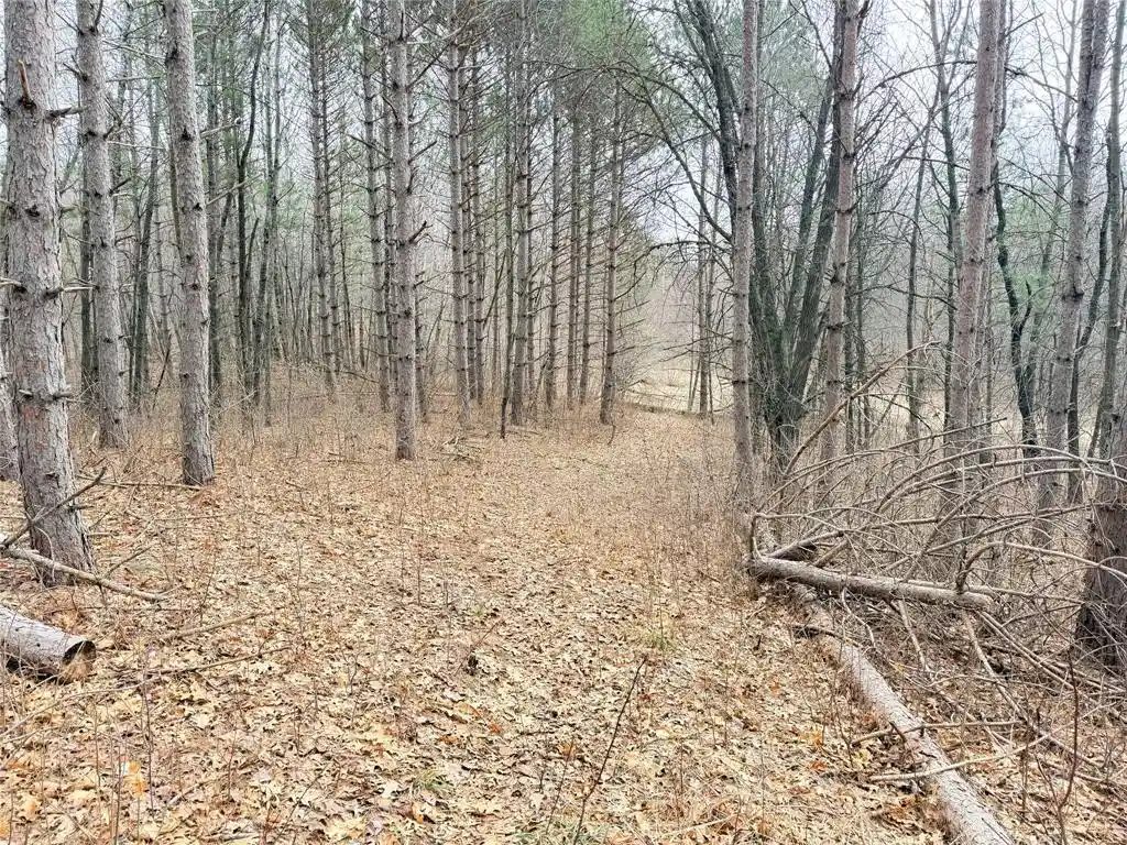 Photo 3 of Land for sale at Lot 3 Big Lake Dr Dr, Osceola, WI 54020 | MLS# 1599897 | Listing updated on 2026-09-22