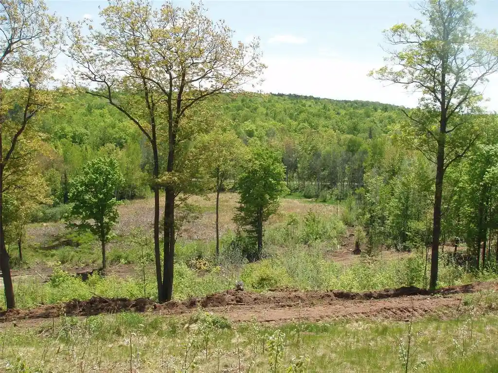 Photo 1 of Land for sale at Lot 1 On Hwy 169, Mellen, WI 54546 | MLS# 1600137 | Listing updated on 2026-08-18