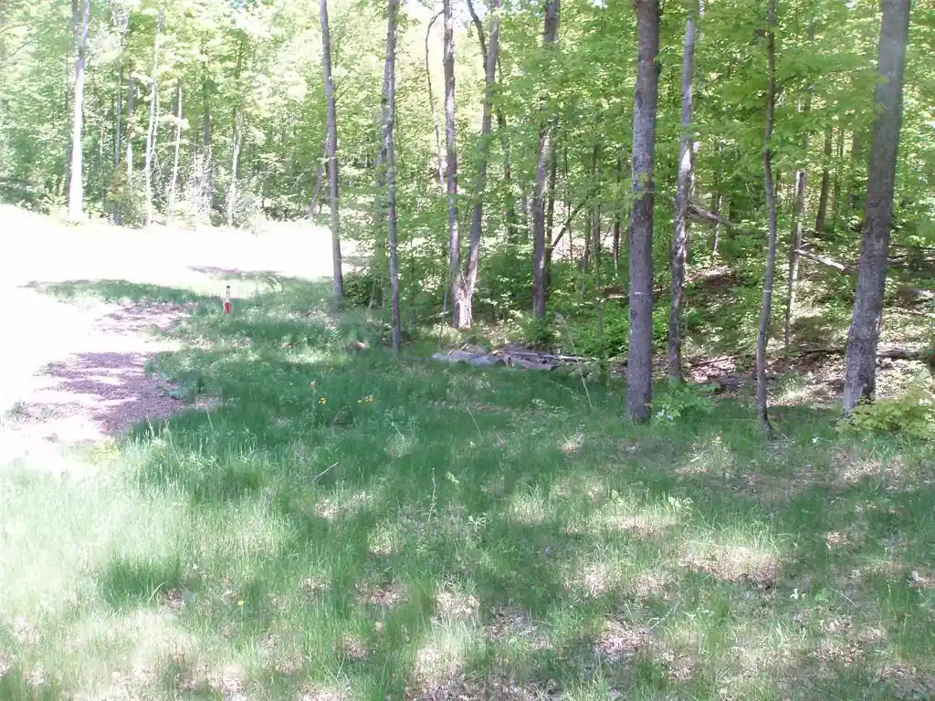 Photo 2 of Land for sale at Lot 1 On Hwy 169, Mellen, WI 54546 | MLS# 1600137 | Listing updated on 2026-08-18