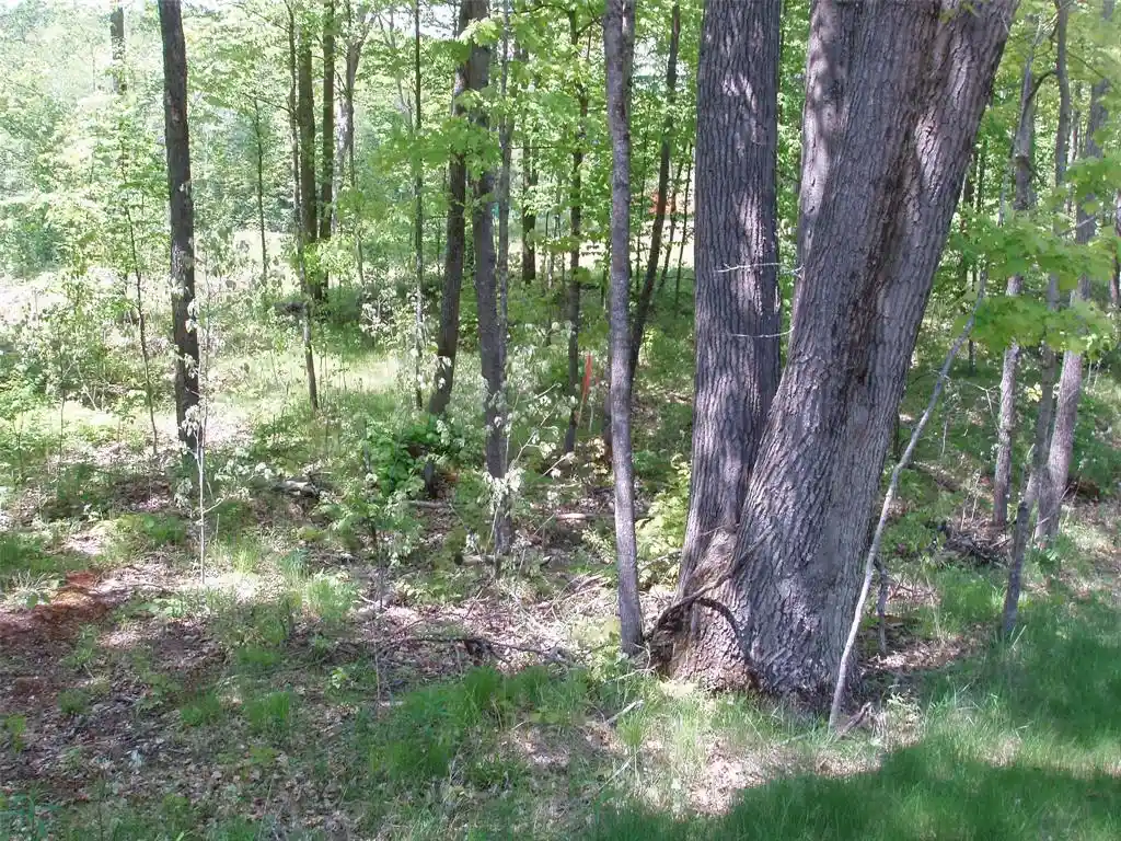 Photo 2 of Land for sale at Lot 1 On Hwy 169, Mellen, WI 54546 | MLS# 1600137 | Listing updated on 2026-08-18