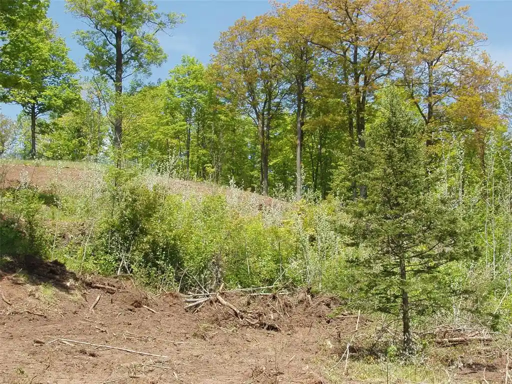 Photo 4 of Land for sale at Lot 1 On Hwy 169, Mellen, WI 54546 | MLS# 1600137 | Listing updated on 2026-08-18