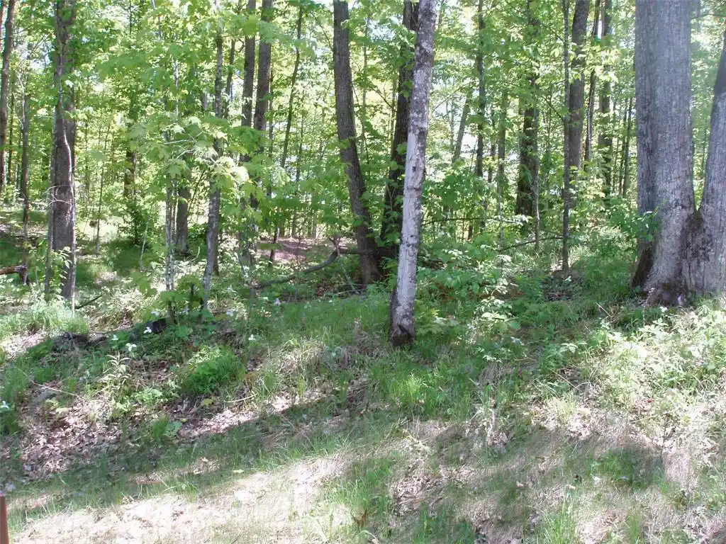 Photo 19 of Land for sale at Lot 1 On Hwy 169, Mellen, WI 54546 | MLS# 1600137 | Listing updated on 2026-08-18