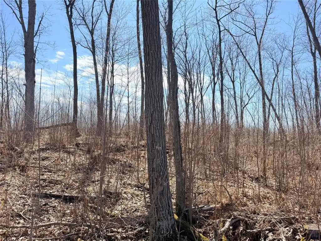 Photo 3 of Land for sale at Lot 4 160Th Avenue Avenue, Turtle Lake, WI 54889 | MLS# 1600130 | Listing updated on 2026-05-28