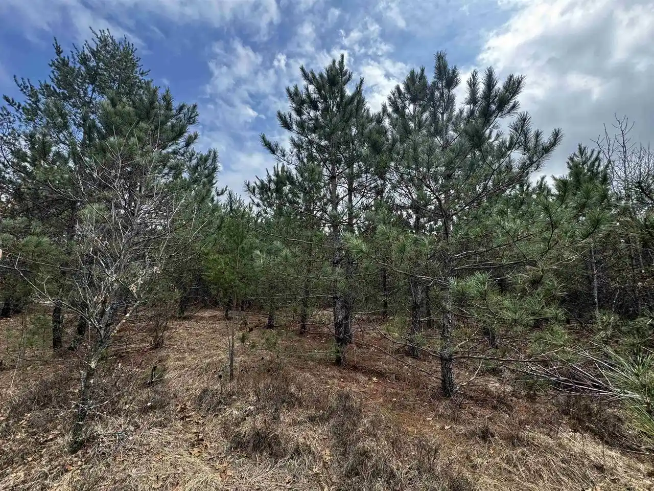 Homes for sale in Arkdale, WI | 80Ac 16The Avenue Avenue, Arkdale, WI 54613 | MLS# 2020940