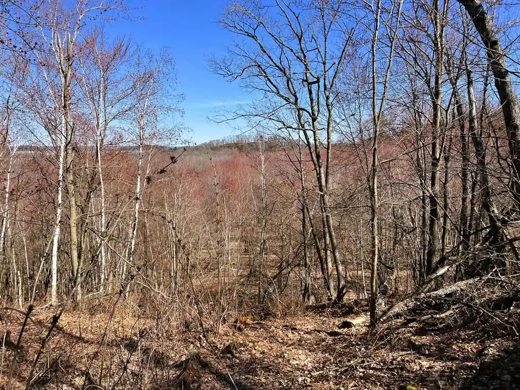 3rd image of 000 Pete Coulee Road Road, Taylor, WI 54659 | MLS# 1599909