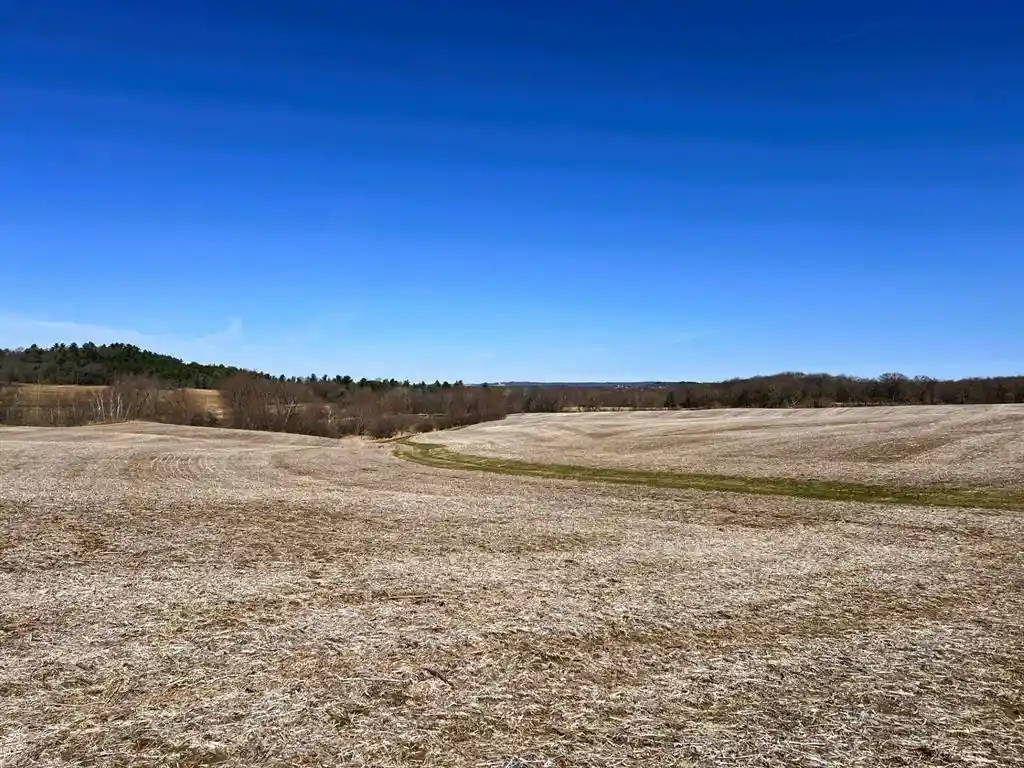 5th image of 000 Pete Coulee Road Road, Taylor, WI 54659 | MLS# 1599909