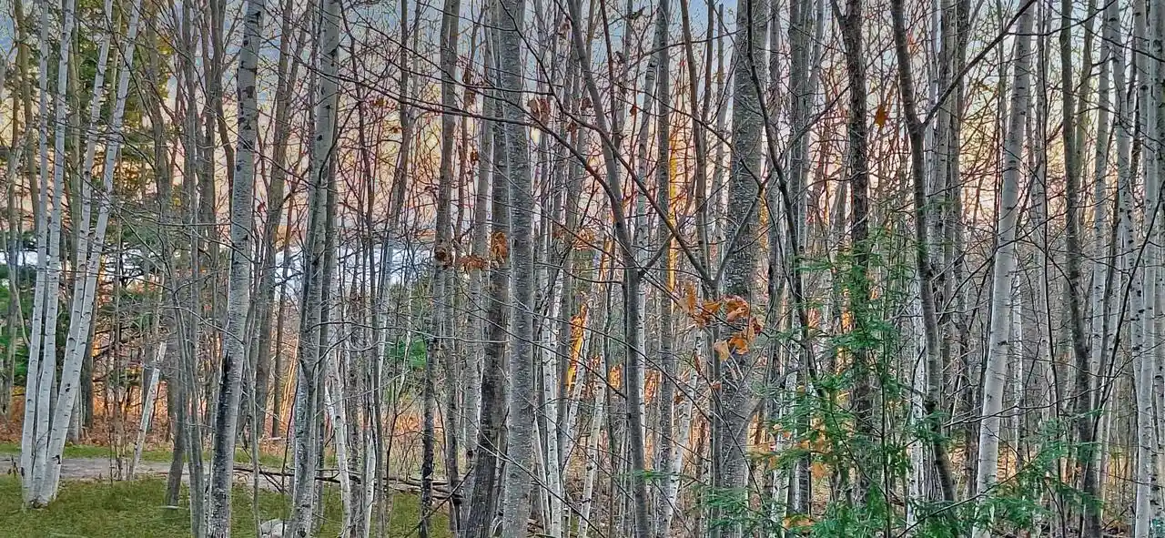 Photo 2 of Land for sale at Xxx Apple Hill Rd Rd, Bayfield, WI 54814 | MLS# 6124605 | Listing updated on 2026-04-29