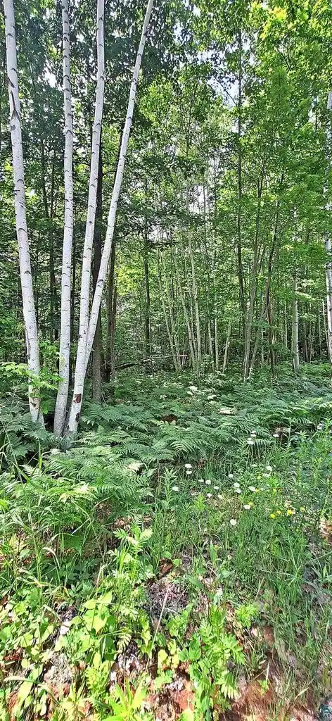 Photo 3 of Land for sale at Xxx Apple Hill Rd Rd, Bayfield, WI 54814 | MLS# 6124605 | Listing updated on 2026-04-29
