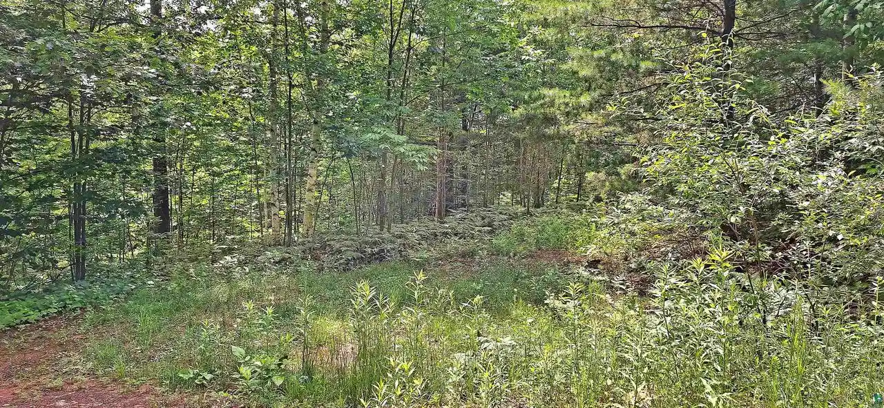 Photo 4 of Land for sale at Xxx Apple Hill Rd Rd, Bayfield, WI 54814 | MLS# 6124605 | Listing updated on 2026-04-29