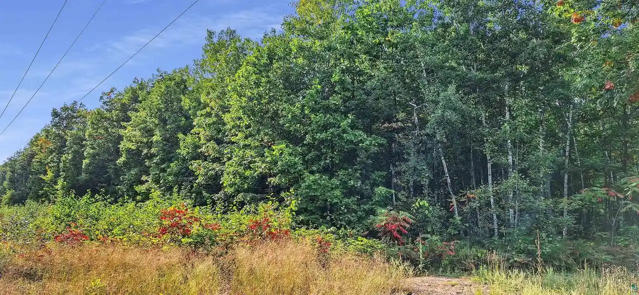Photo 18 of Land for sale at Xxx Apple Hill Rd Rd, Bayfield, WI 54814 | MLS# 6124605 | Listing updated on 2026-04-29