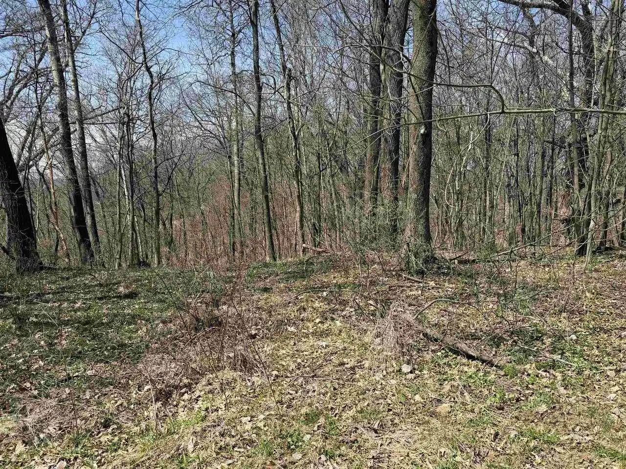 Homes for sale in Ferryville, WI | 14921 Eagle Ridge Road Road, Ferryville, WI 54628 | MLS# 2021275