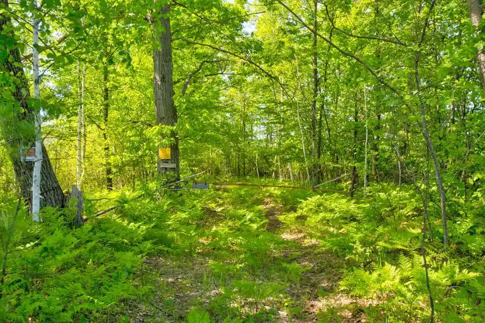 3rd image of Nettleton Road Road, Marinette, WI 54143 | MLS# 50324007