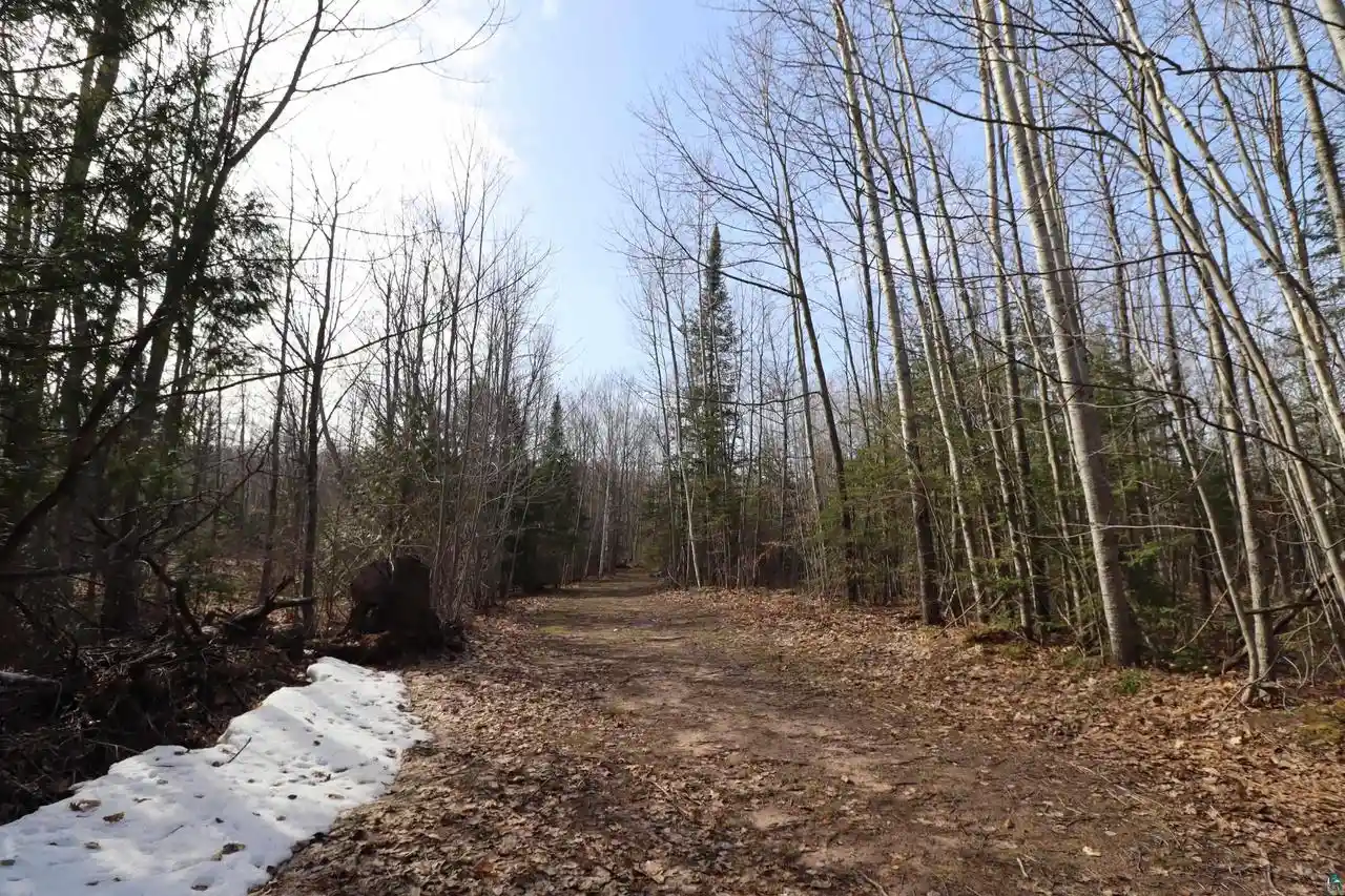 Homes for sale in Bayfield, WI | 36807 County Hwy J, Bayfield, WI 54814 | MLS# 6124662