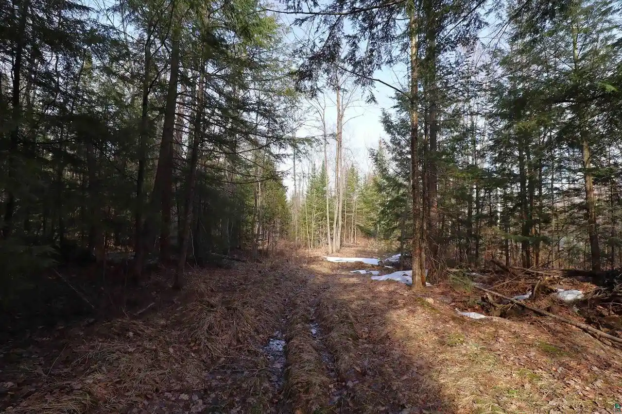 Homes for sale in Bayfield, WI | 36807 County Hwy J, Bayfield, WI 54814 | MLS# 6124662