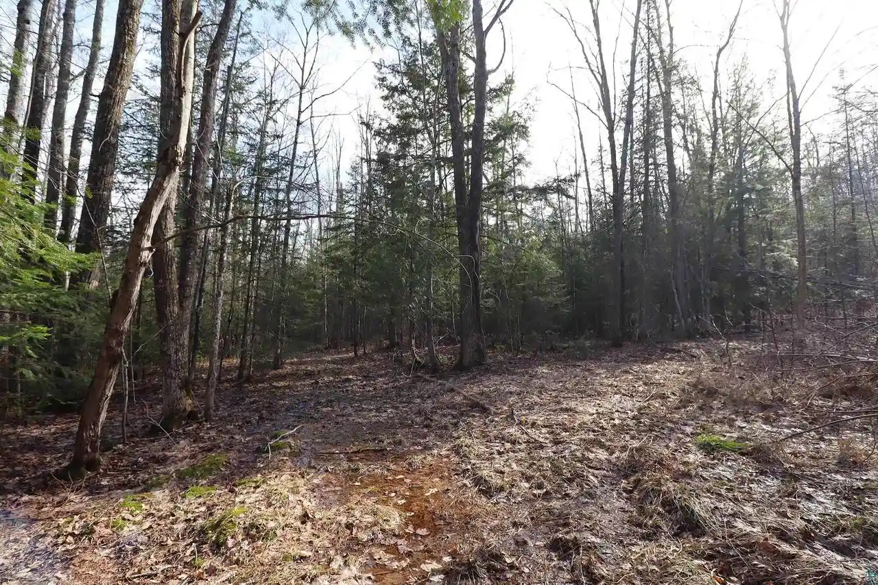 Homes for sale in Bayfield, WI | 36807 County Hwy J, Bayfield, WI 54814 | MLS# 6124662