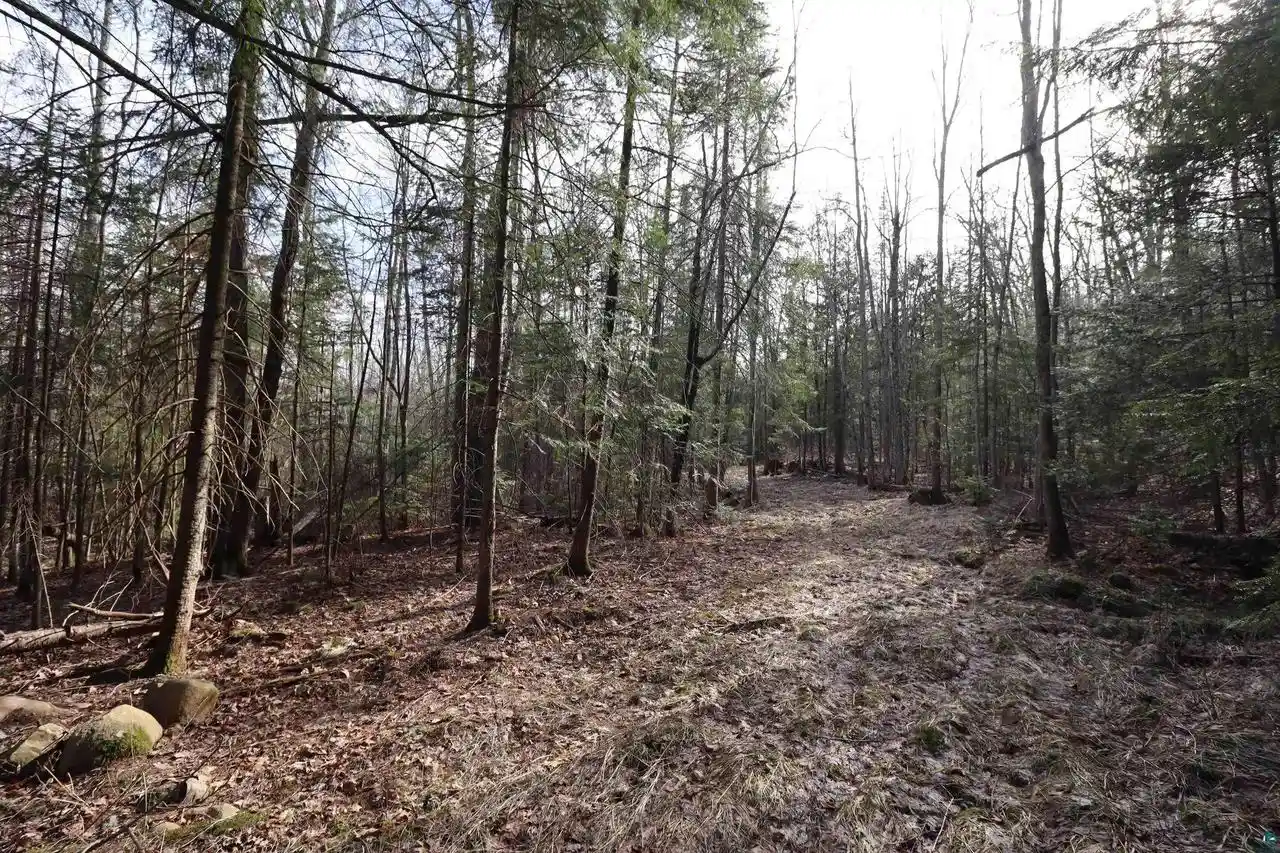 Homes for sale in Bayfield, WI | 36807 County Hwy J, Bayfield, WI 54814 | MLS# 6124662