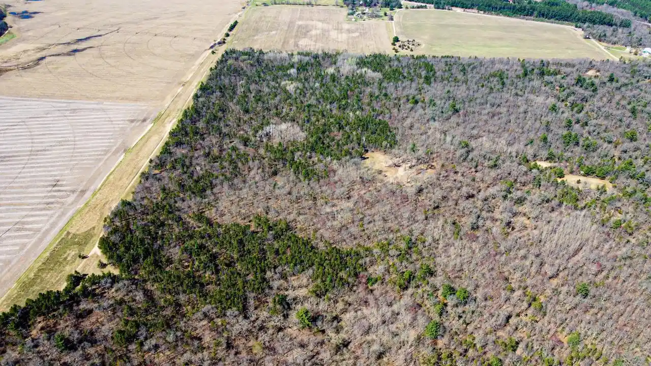 Photo 3 of Land for sale at 0 Lake Road Road, Melrose, WI 54642 | MLS# 1958910 | Listing updated on 2026-08-31
