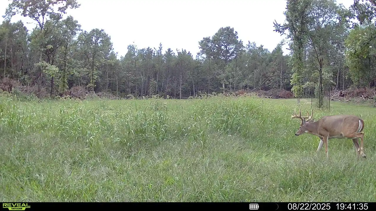Photo 3 of Land for sale at 0 Lake Road Road, Melrose, WI 54642 | MLS# 1958910 | Listing updated on 2026-08-31