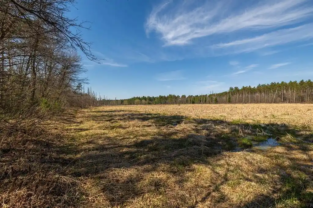 Photo 3 of Sale Pending at 0 Prairie Road Road, Osseo, WI 54758 | MLS# 1600339 | Listing updated on 2026-08-31