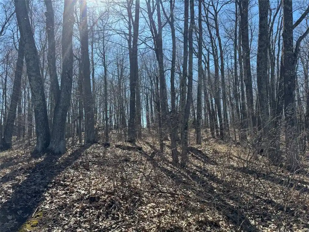 Photo 2 of Land for sale at 15524W Holly Lake Lane Lane, Stone Lake, WI 54876 | MLS# 1600275 | Listing updated on 2026-05-05