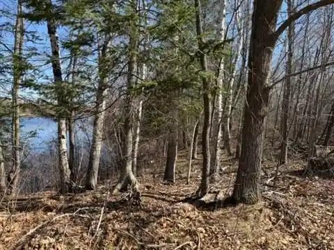 2nd image of 0 Hwy 35, Danbury, WI 54830 | MLS# 1600361