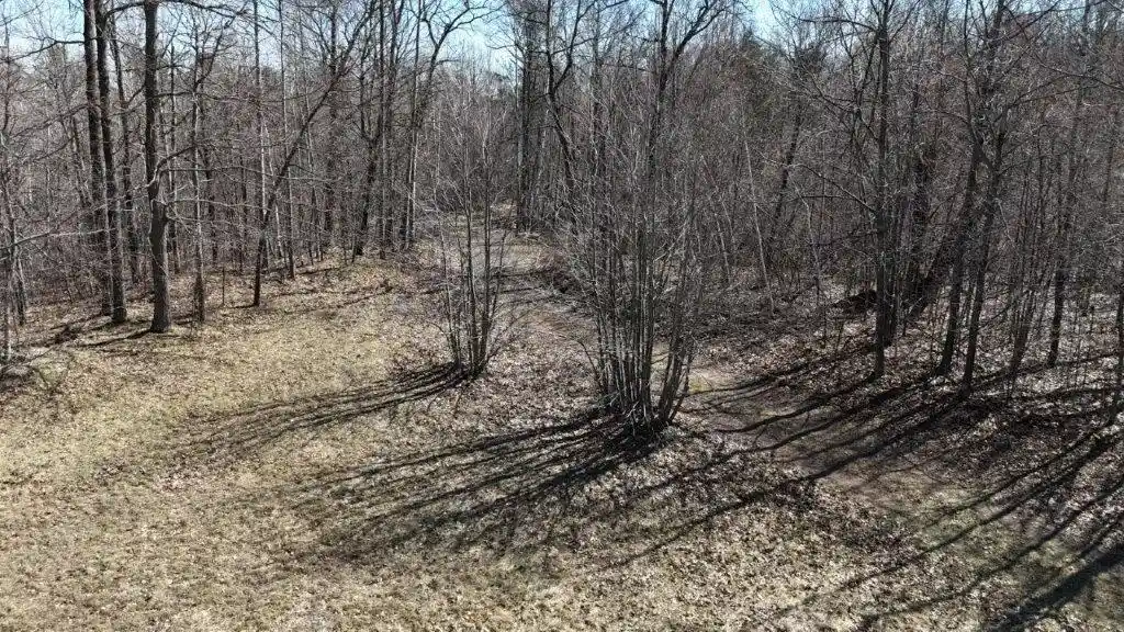 4th image of 0 Hwy 35, Danbury, WI 54830 | MLS# 1600361