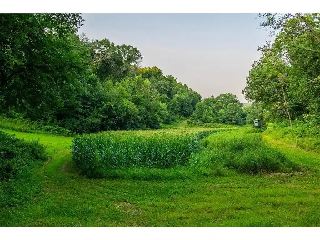 Photo 2 of Land for sale at Tbd County Road S, Blair, WI 54616 | MLS# 7054935 | Listing updated on 2026-09-23
