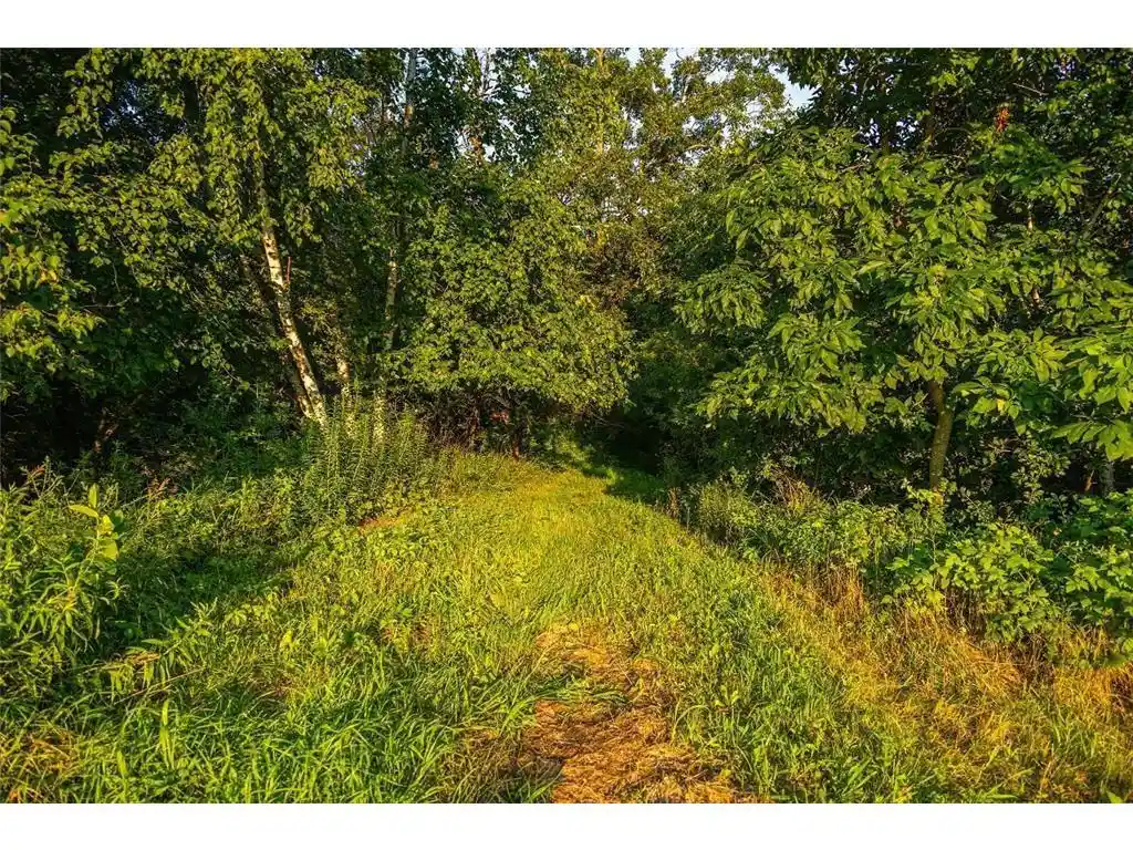 Photo 3 of Land for sale at Tbd County Road S, Blair, WI 54616 | MLS# 7054935 | Listing updated on 2026-09-23