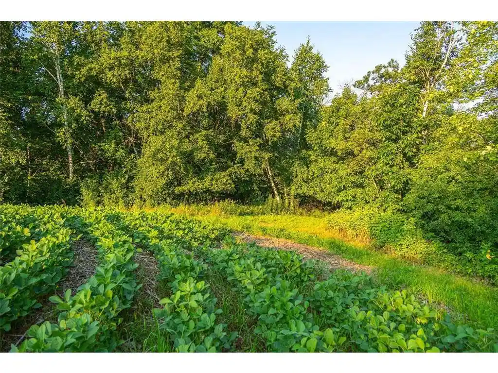 Photo 4 of Land for sale at Tbd County Road S, Blair, WI 54616 | MLS# 7054935 | Listing updated on 2026-09-23