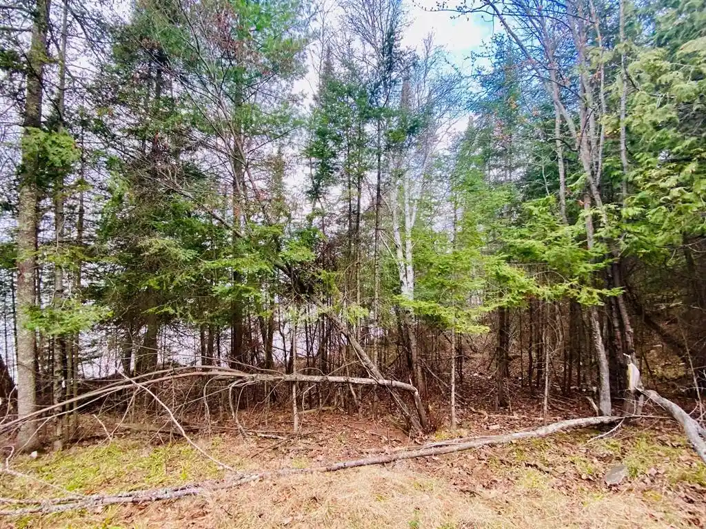 12th image of 11171 S Engstad Road Road, Solon Springs, WI 54873 | MLS# 1600391