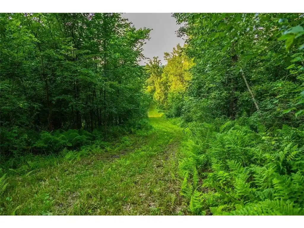 Photo 3 of Sale Pending at 0 Co Rd S, Blair, WI 54616 | MLS# 7055072 | Listing updated on 2026-09-23